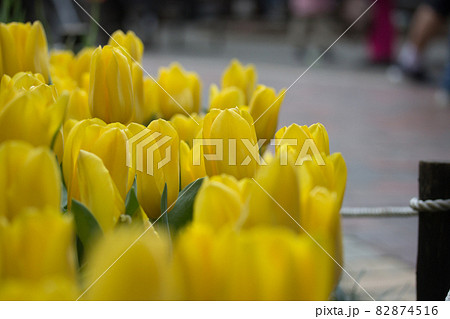 四月 ４月 4月 82874516