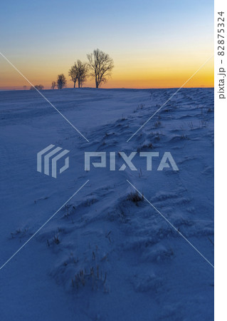 Sunrise near Hight Tatras in winter time, Slovakia 82875324
