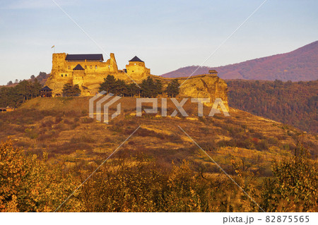 Castle of Boldogko in Northern Hungary Castle of Boldogko in Northern Hungary 82875565