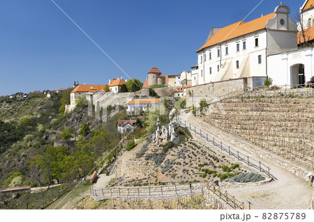 Town Vineyard Znojmo, South Moravia Czech Republic 82875789