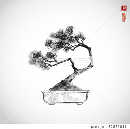 Bonsai pine tree hand drawn with ink on white... - Stock Illustration  [82875811] - PIXTA