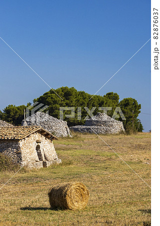 Trulli, typical houses near Castel del Monte, Apulia region, Italy Trulli, typical houses near Castel del Monte, Apulia region, Italy 82876037