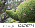 アート 美術 芸術 82876774
