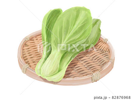 ざる盛りのチンゲンサイ 82876968