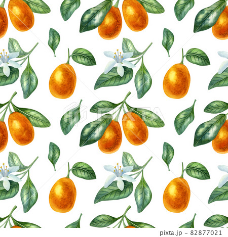 Watercolor seamless pattern with kumquat, citrus flowers and leaves on the light background. Bright cartoon hand-painted illustration. 82877021