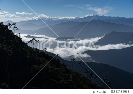 Cloudy tropical mountains and palm tree foreground. Travel and adventure concept 82878963