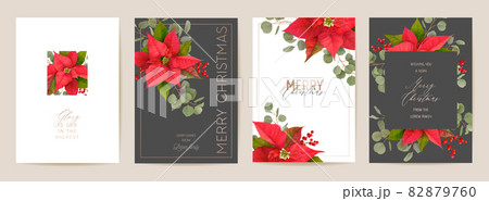 Poinsettia Realistic Vector Christmas Card Set, Floral Happy New Year Illustration. Mistletoe Frame Design Set 82879760