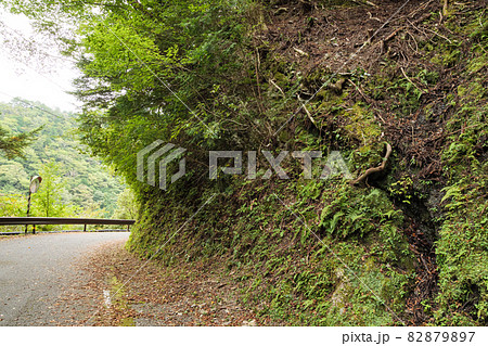 静岡県川根本町の景勝地の寸又峡の初秋(雨) 静岡県川根本町の景勝地の寸又峡の初秋(雨) 82879897