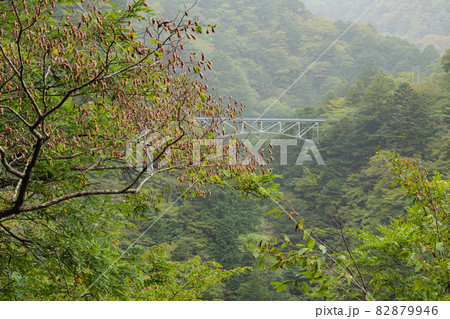 静岡県川根本町の景勝地の寸又峡の初秋(雨) 静岡県川根本町の景勝地の寸又峡の初秋(雨) 82879946