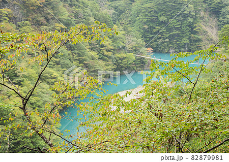 静岡県川根本町の景勝地の寸又峡の初秋（雨） 82879981