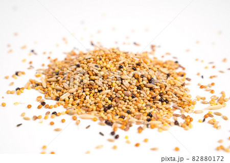 parrot feed on a white background. pet shop. 82880172