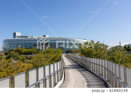 白山公園の空中回廊　新潟市 82880248