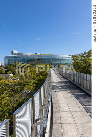 白山公園の空中回廊 新潟市 白山公園の空中回廊 新潟市 82880253