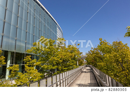 白山公園の空中回廊　新潟市 82880303