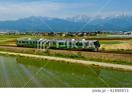 立山連峰と田園地帯・あいの風とやま鉄道 82880653
