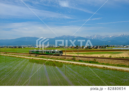 立山連峰と田園地帯・あいの風とやま鉄道 82880654