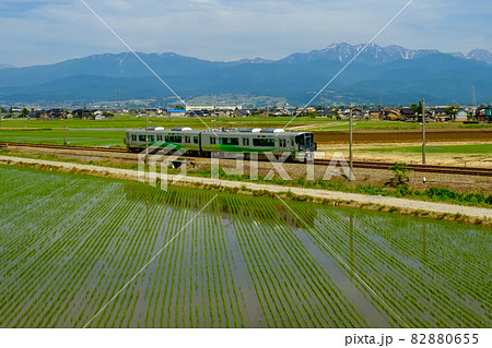 立山連峰と田園地帯・あいの風とやま鉄道 82880655