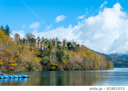 然別湖の紅葉 82881053