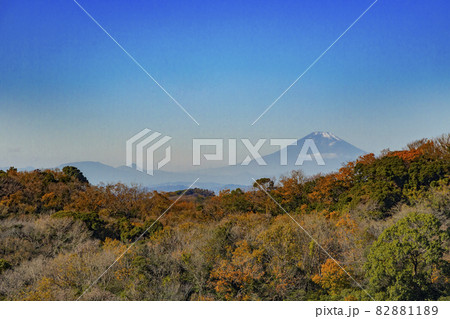 建長寺 半僧坊から見た風景 建長寺 半僧坊から見た風景 82881189