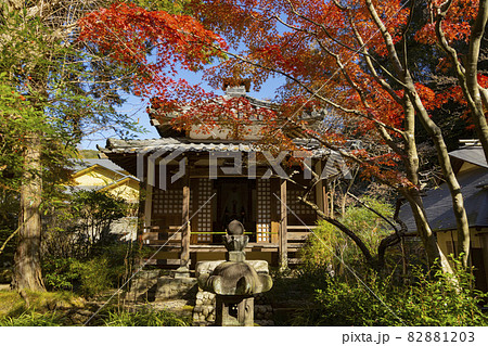 明月院 北条時頼 墓所 明月院 北条時頼 墓所 82881203