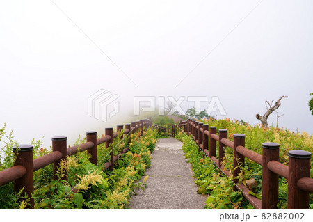 濃霧に覆われた摩周湖　北海道 82882002