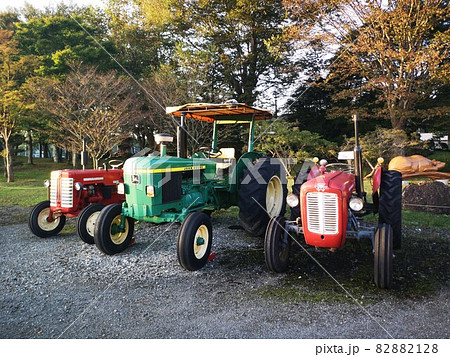 牧牛のコレクション 牧牛のコレクション 82882128