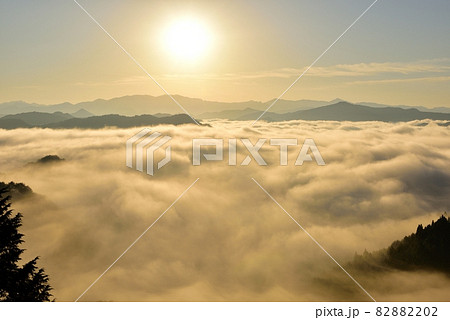 野迫川村の雲海 野迫川村の雲海 82882202