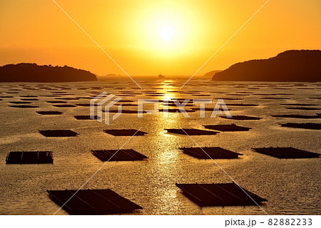 虫明追門の朝日 82882233