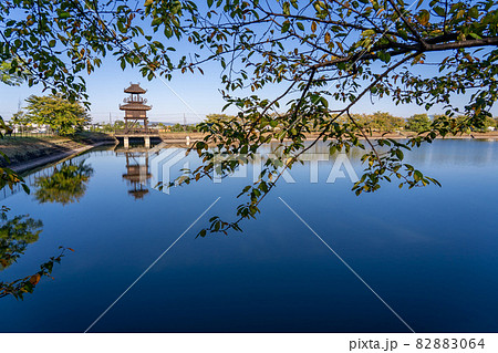 奈良県田原本町 朝の唐古 鍵遺跡史跡公園の復元楼閣と唐子池の写真素材 8064