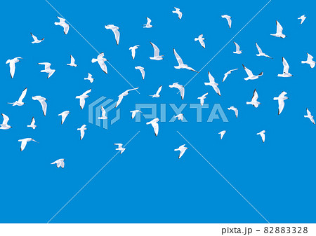 自由に群れ翔ぶ鳥 壁紙 背景のイラスト素材 28