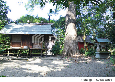 白髭神社 82883864