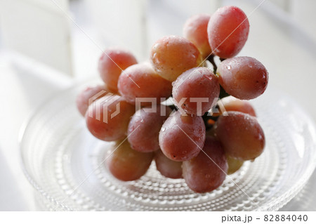 葡萄　クイーンニーナ 82884040