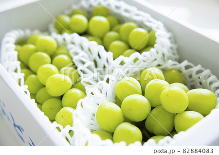 箱に入ったシャインマスカット 82884083