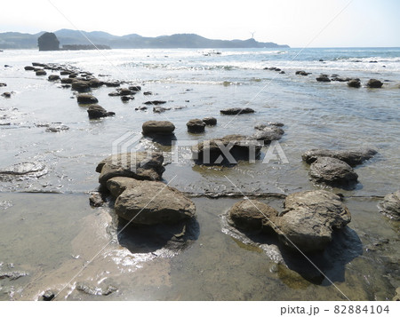 石見畳ヶ浦 ノジュール 石見畳ヶ浦 ノジュール 82884104