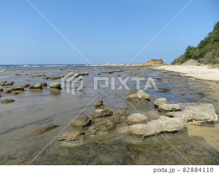 石見畳ヶ浦 ノジュール 石見畳ヶ浦 ノジュール 82884110