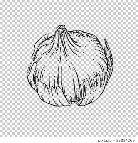 玉ねぎのペン画カットイラストのイラスト素材 4269 玉ねぎのペン画カットイラストのイラスト素材 4269