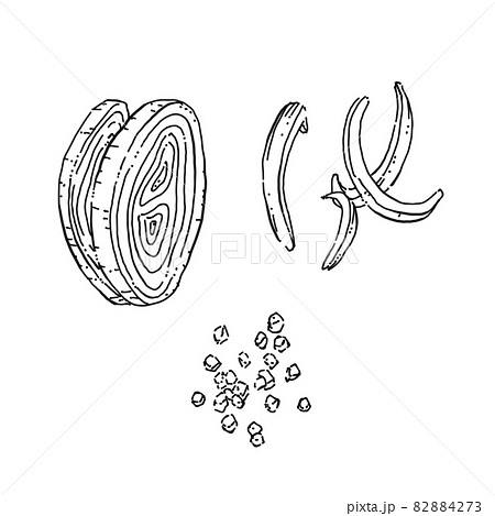 カット玉ねぎのペン画カットイラスト 82884273