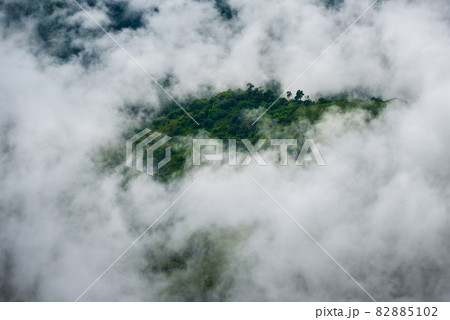 Clouds, mist, cover the mountain peaks, tropical rainforests, Thailand 82885102
