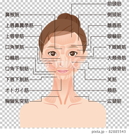 面部肌肉的作用機制 美容醫學 82885543