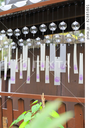 上野東照宮ぼたん苑　風鈴 82885801