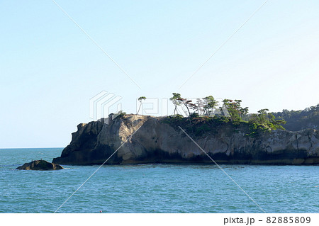 松林の白い岬。大浜海岸付近から撮影した奥松島「新浜岬」。宮城県東松島市宮戸。 82885809