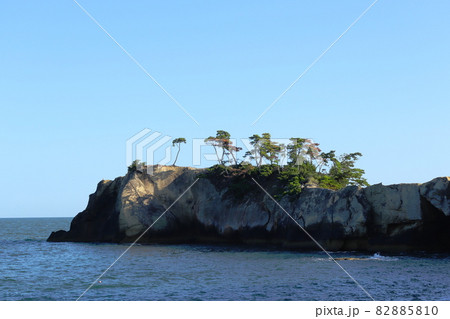 松林の白い岬。大浜海岸付近から撮影した奥松島「新浜岬」。宮城県東松島市宮戸。 82885810