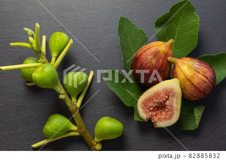赤く熟した紫色のイチジク（無花果）緑の果実、葉、茎（黒背景） 82885832