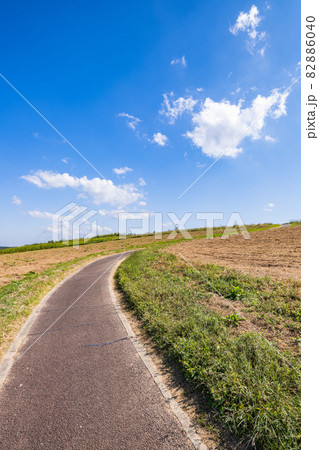 【自然】青空の下の草原と道　背景素材 82886040