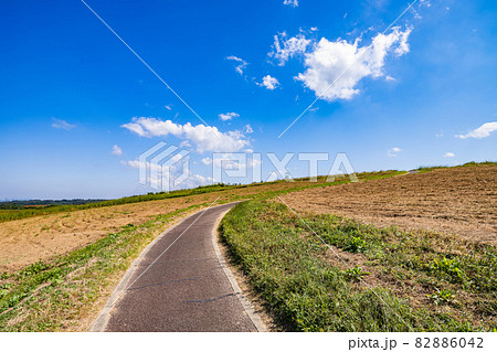 【自然】青空の下の草原と道 背景素材 【自然】青空の下の草原と道 背景素材 82886042