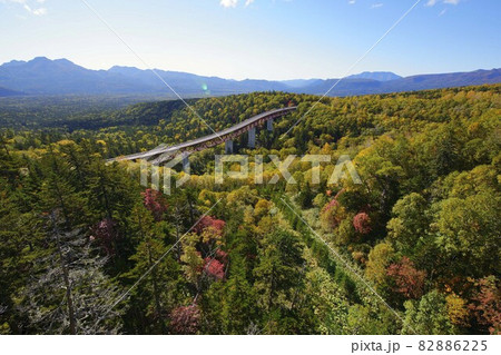 松見の大橋 松見の大橋 82886225