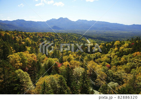 三国峠の紅葉 82886320