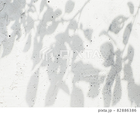Flat lay with top view on shadow from leaves, leaf and tree branches on gray or white grey old concrete background. Copy space area for text for advertisement. High quality wallpaper photo Flat lay with top view on shadow from leaves, leaf and tree branches on gray or white grey old concrete background. Copy space area for text for advertisement. High quality wallpaper photo 82886386