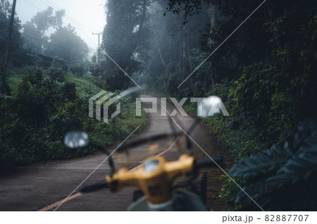 The road into the forest was foggy in the morning. 82887707