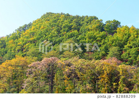美しき信州の紅葉 その2110 美しき信州の紅葉 その2110 82888209